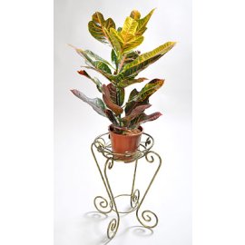 Stand for flowers Rack 1 medium buy