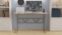 Комп'ютерний стіл Ferrum-decor Раян 75x100x60 сірий ДСП Дуб Артізан 16мм